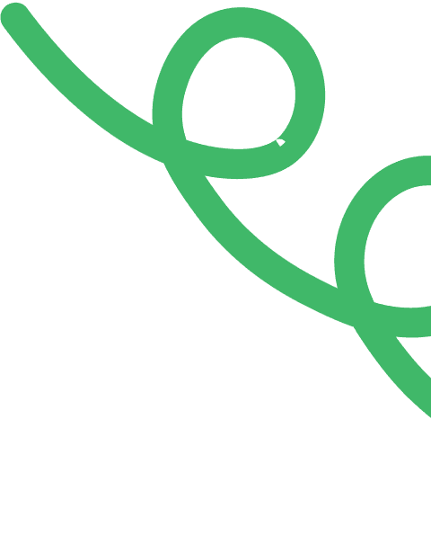 vector